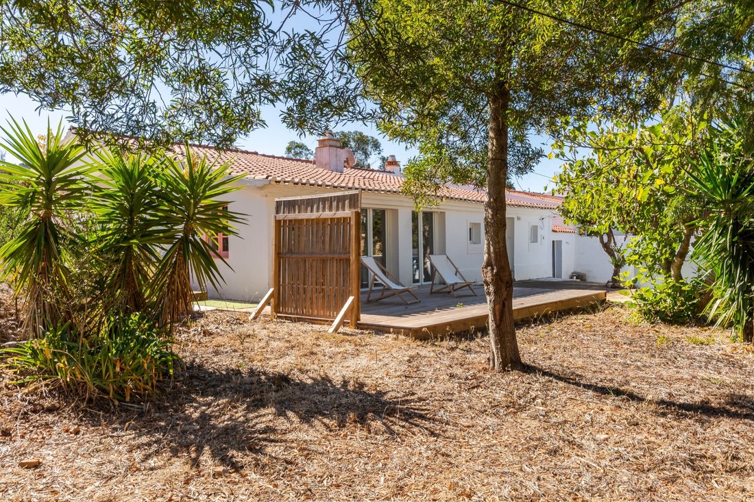 Finca in Aljezur, Algarve, Portugal 4 - 19141015
