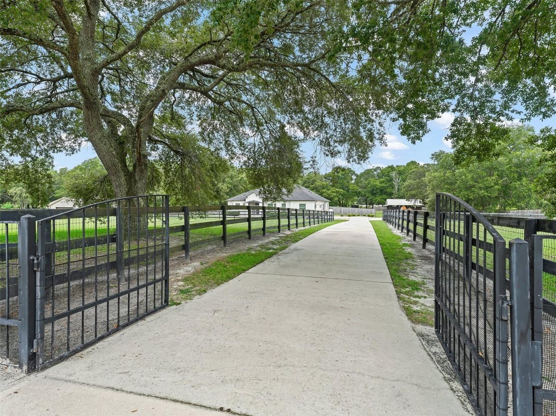 House in Ocala, Florida, United States 3 - 19142711