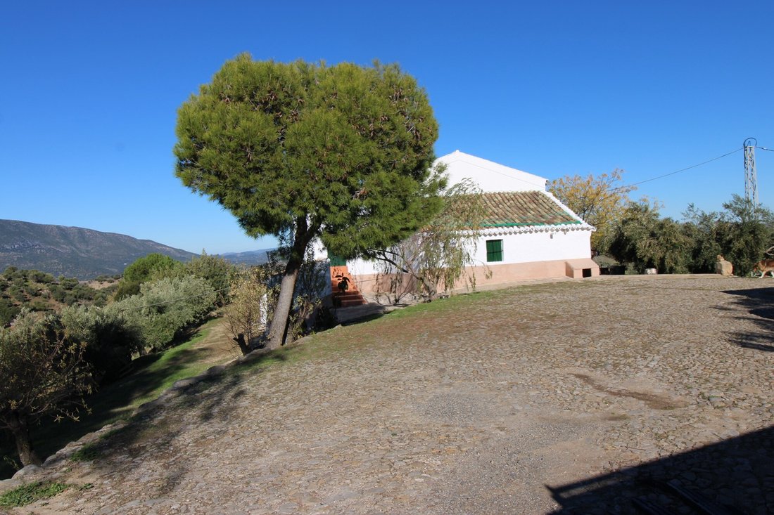 Landhaus in El Gastor, Andalusien, Spanien 5 - 19140922