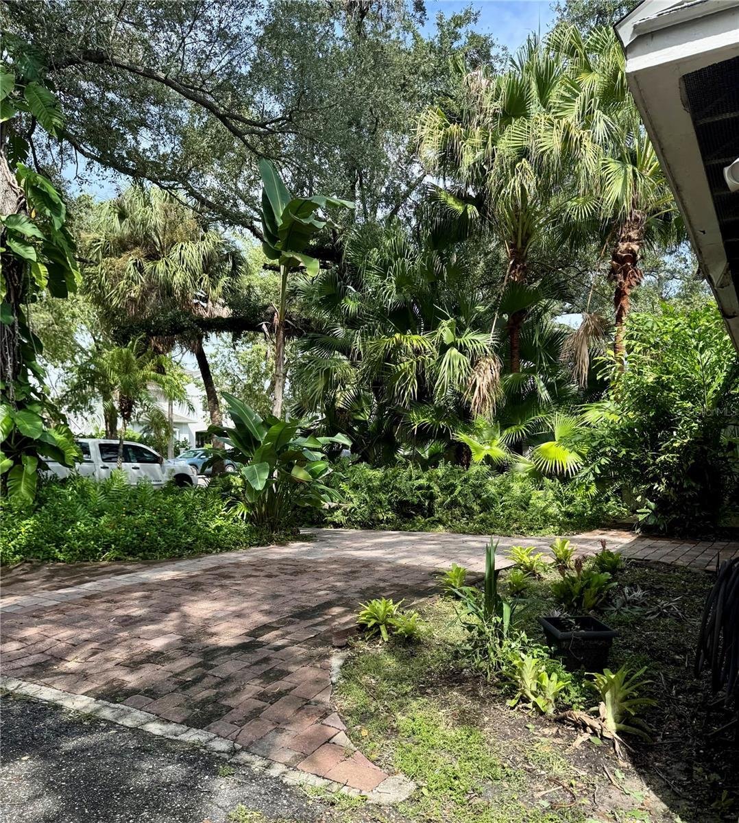 Haus in Tampa, Florida, Vereinigte Staaten 2 - 19139918