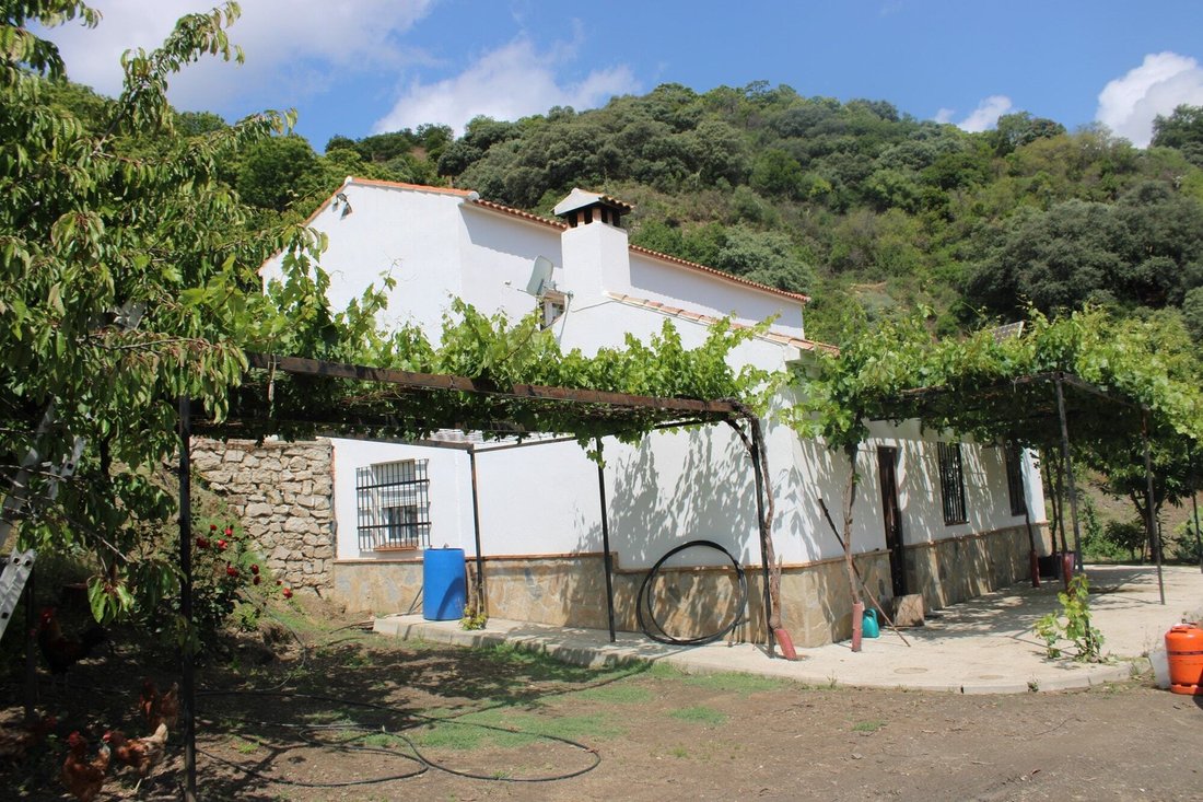 Casa de Campo en Faraján, Andalucía, España 4 - 19140361