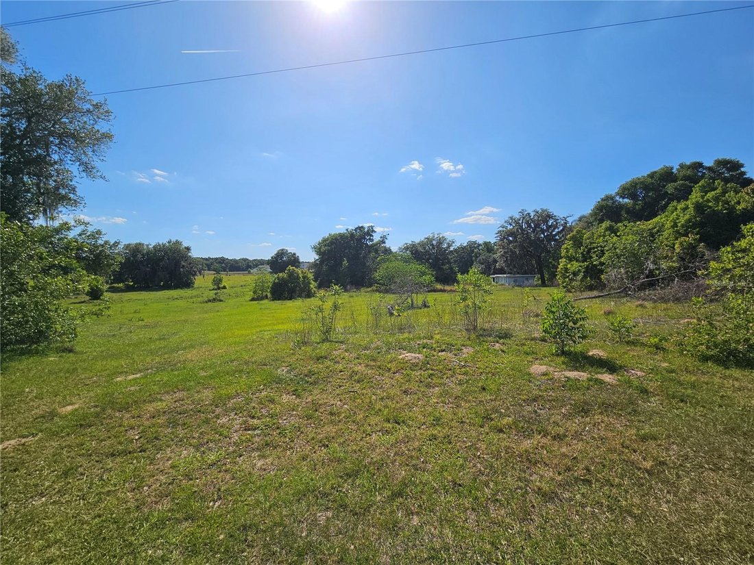 Terreno a Dade City, Florida, Stati Uniti 3 - 19141660
