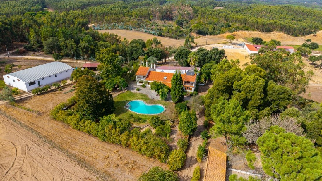 Farm Ranch in Sao Joao da Ribeira e Ribeira de Sao Joao, Distrikt Santarém, Portugal 3 - 19143403