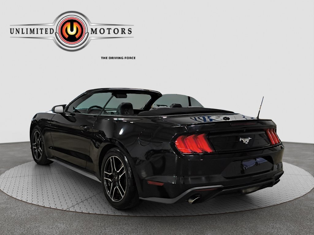 Cabriolet in Lafayette, IN, United States 4 - 19143432