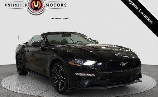 2023 Ford Mustang EcoBoost Premium in Lafayette, IN, United States 1