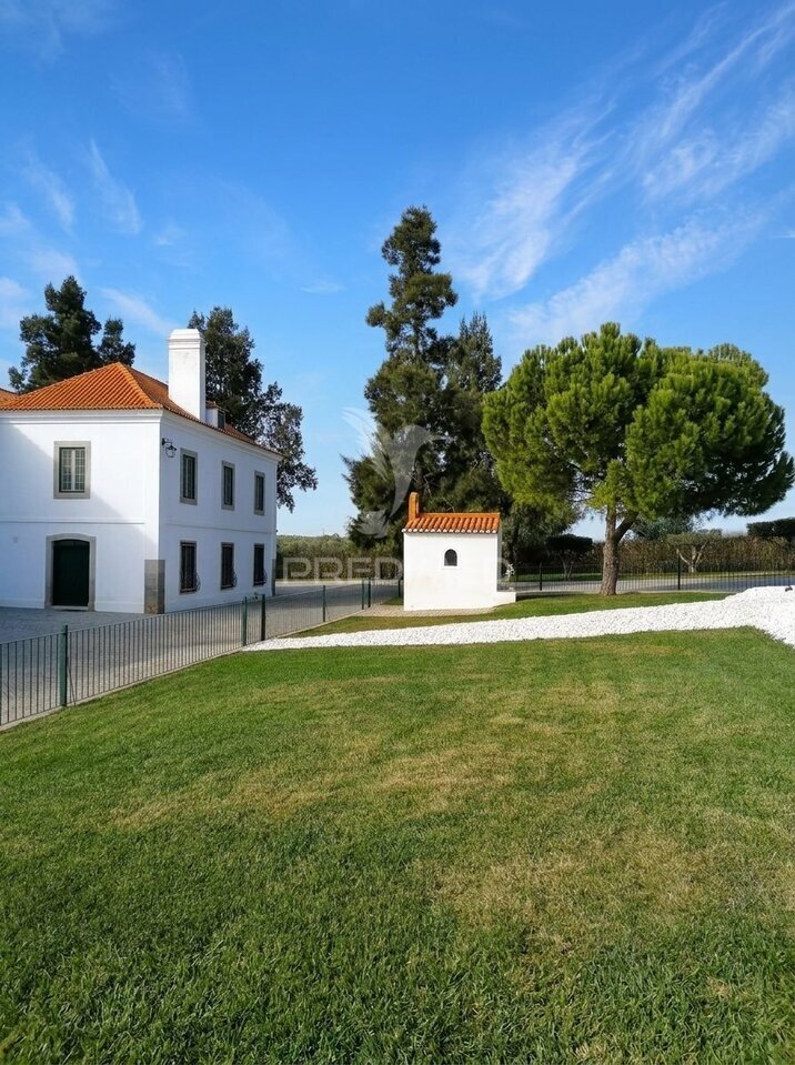 Farm Ranch in Pedrógão, Beja, Portugal 1 - 19143209