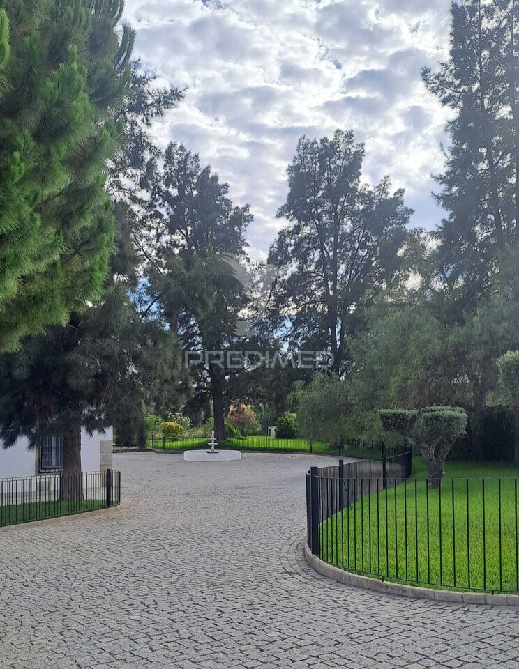 Farm Ranch in Pedrógão, Beja, Portugal 2 - 19143209