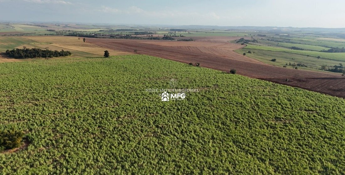 Rancho en Bairro Rural, Brasil 4 - 19143387