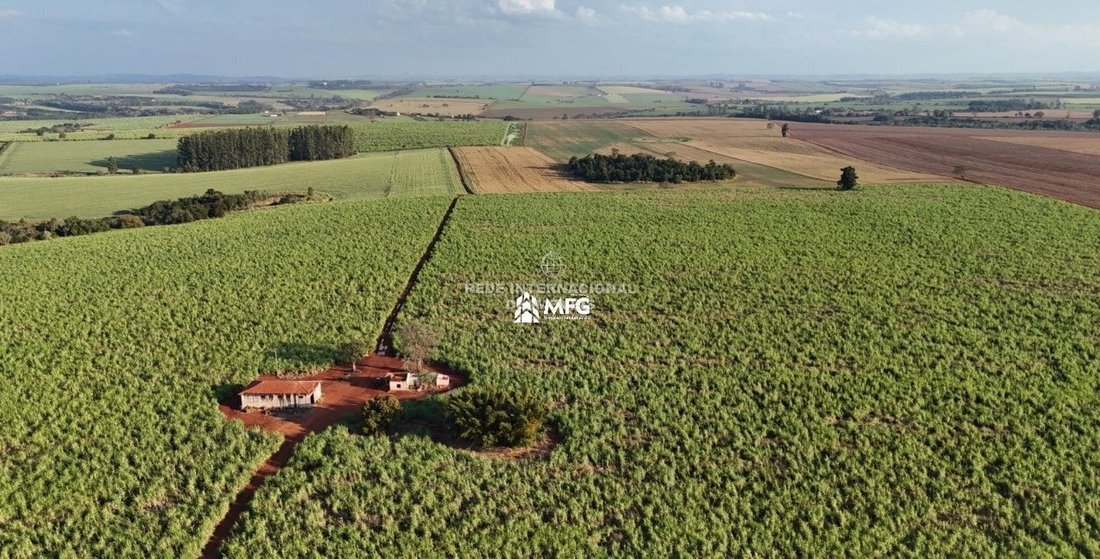 Rancho en Bairro Rural, Brasil 2 - 19143387