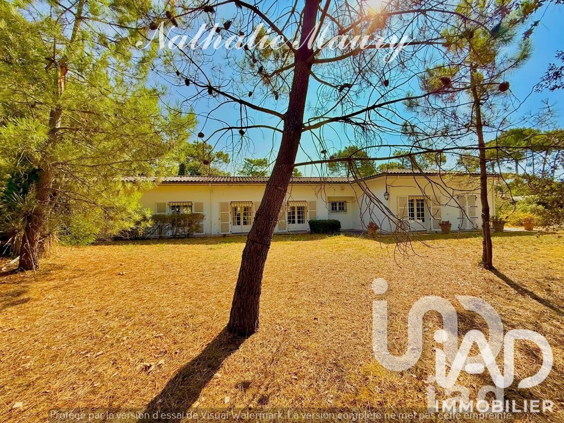House in La Tremblade, Nouvelle-Aquitaine, France 3 - 19144026