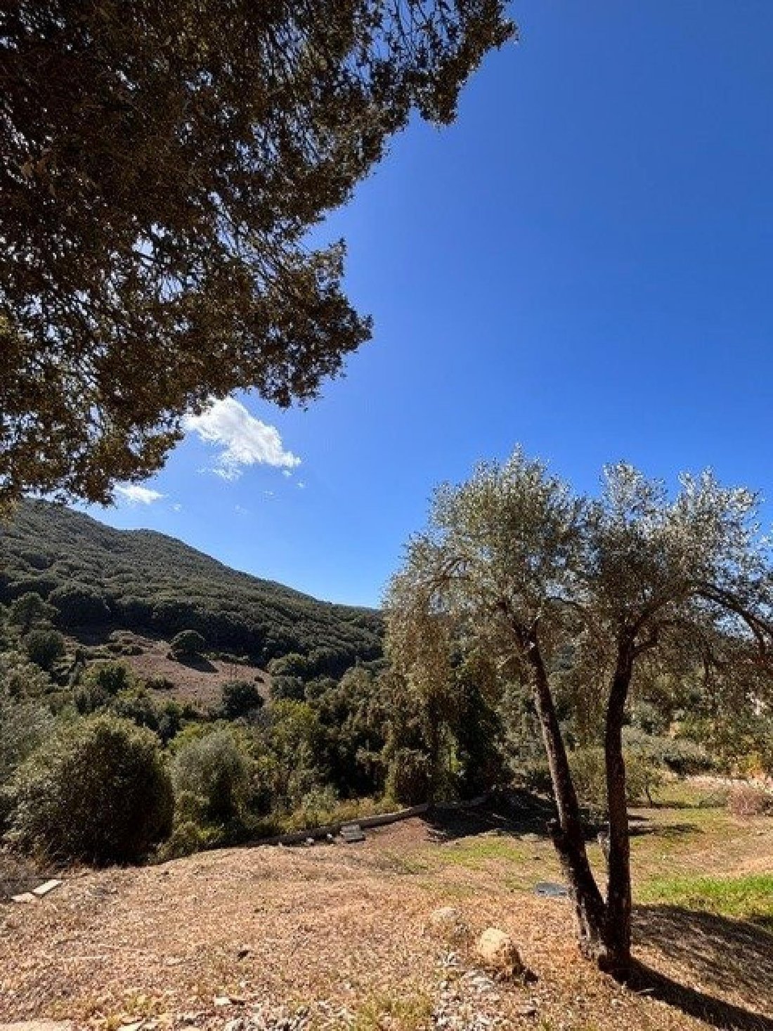 Casa a Foce, Corsica, Francia 4 - 19143951