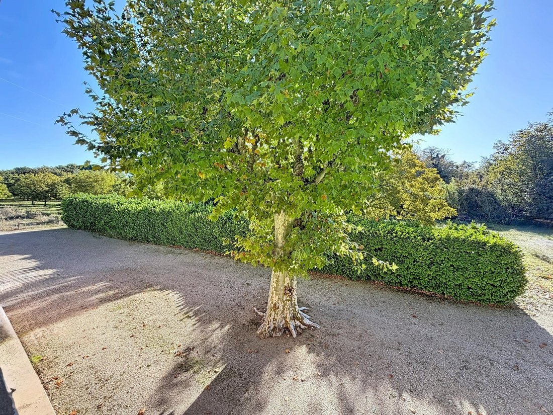 Maison à Alleins, Provence-Alpes-Côte d'Azur, France 4 - 19143915