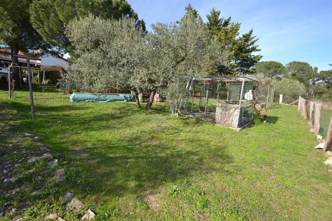 Apartment in Vada, Rosignano Marittimo, Tuscany 4 - 19144873