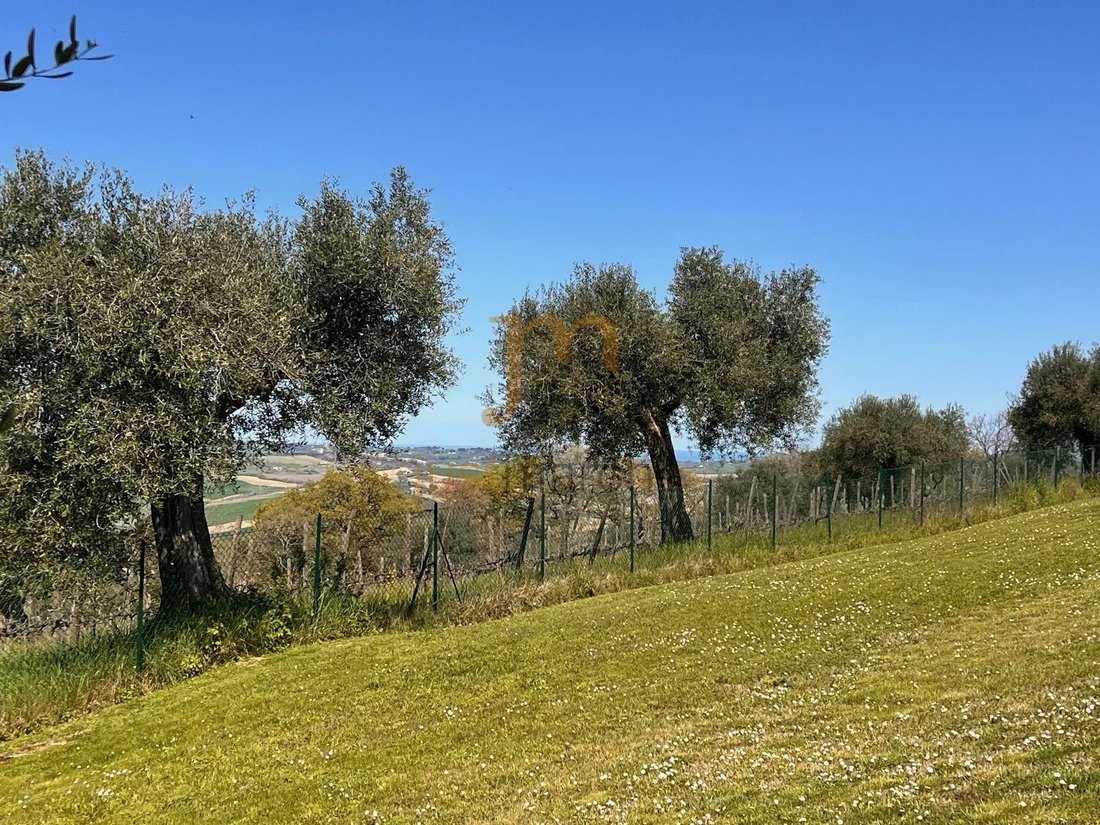 Country House in Cartoceto, Marche, Italy 5 - 19145395