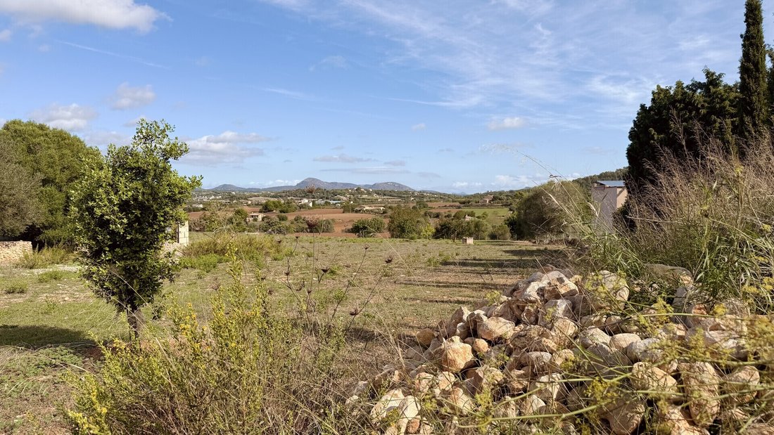 Land in Manacor, Balearic Islands, Spain 3 - 19145330