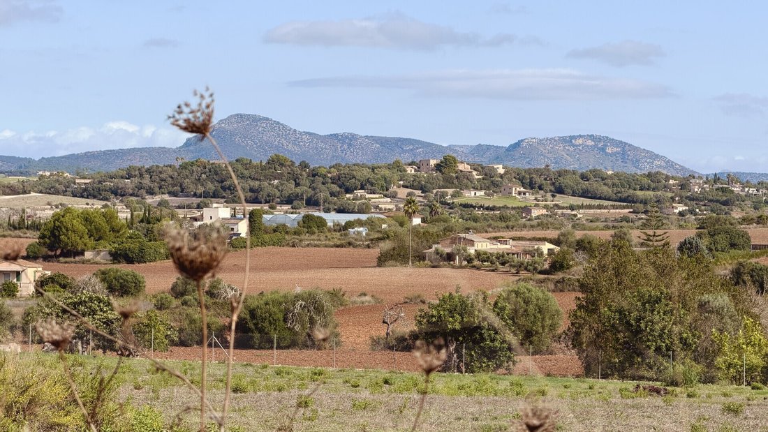 Land in Manacor, Balearic Islands, Spain 1 - 19145330