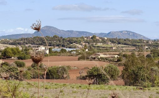 Land in Manacor, Balearic Islands, Spain 1