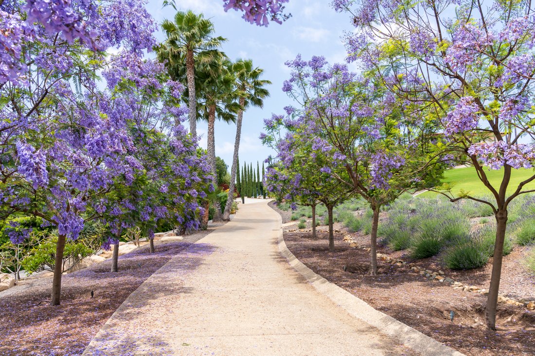 House in Rancho Santa Fe, California, United States 3 - 19144333