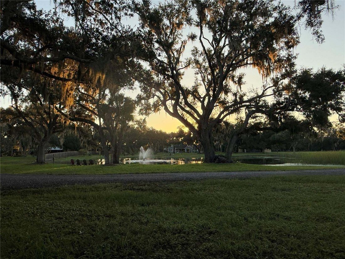 Maison à University of South Florida Sarasota-Manatee Campus, Floride, États-Unis 3 - 19144823