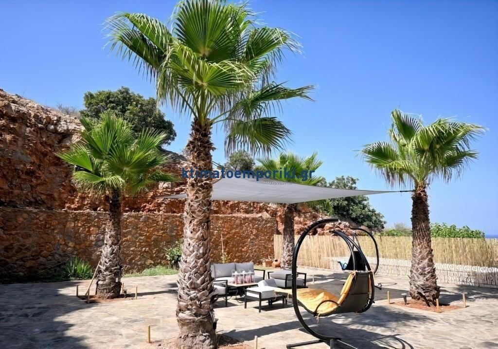 Villa à Community of Agios Nikolaos, Ágios Nikólaos, Grèce 4 - 19144731