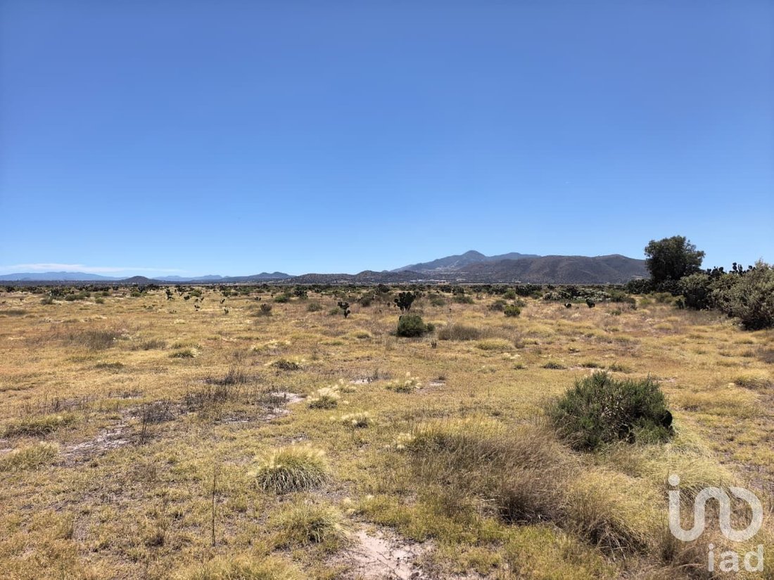 Land in La Laguna, Hidalgo, Mexiko 5 - 19145266
