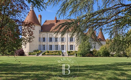Castillo en Hôtel de Ville, Vichy, Francia 1
