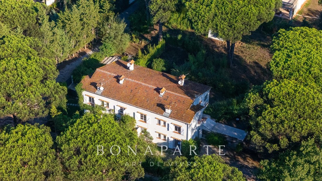 Villa in Gassin, Provence-Alpes-Côte d'Azur, Frankreich 2 - 19145495