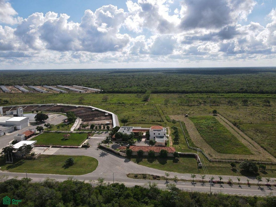 Casa a Baca, Yucatán, Messico 5 - 19142544