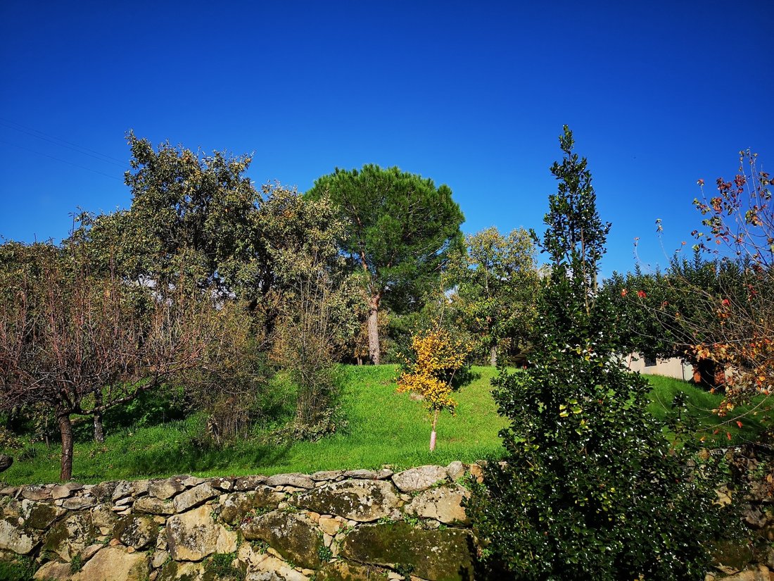 Country House in Candeleda, Castile and Leon, Spain 3 - 19146836