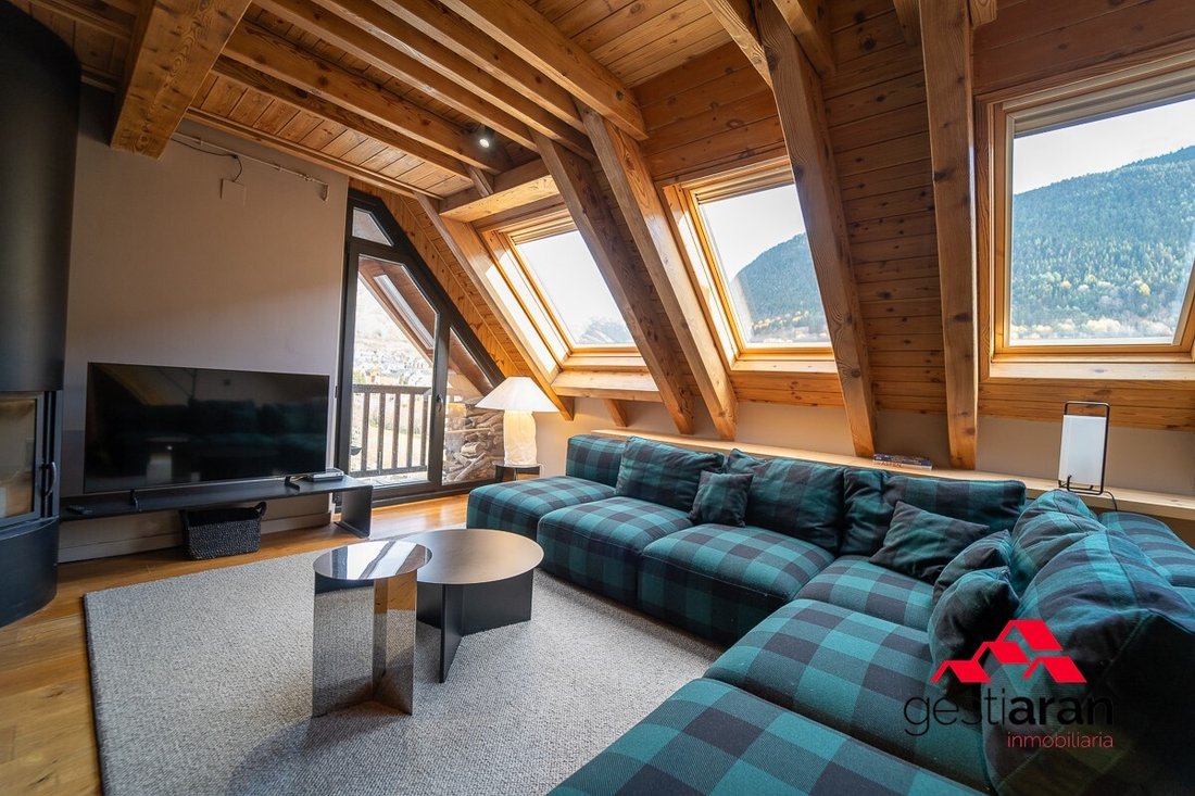 Apartment in Naut Aran, Catalonia, Spain 3 - 19148679