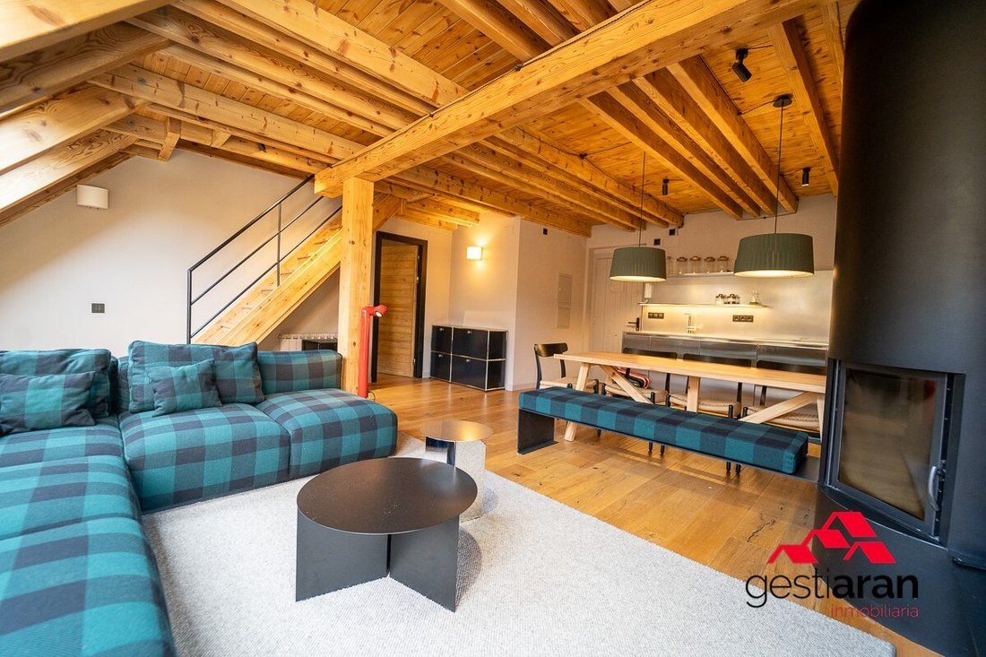 Apartment in Naut Aran, Catalonia, Spain 5 - 19148679