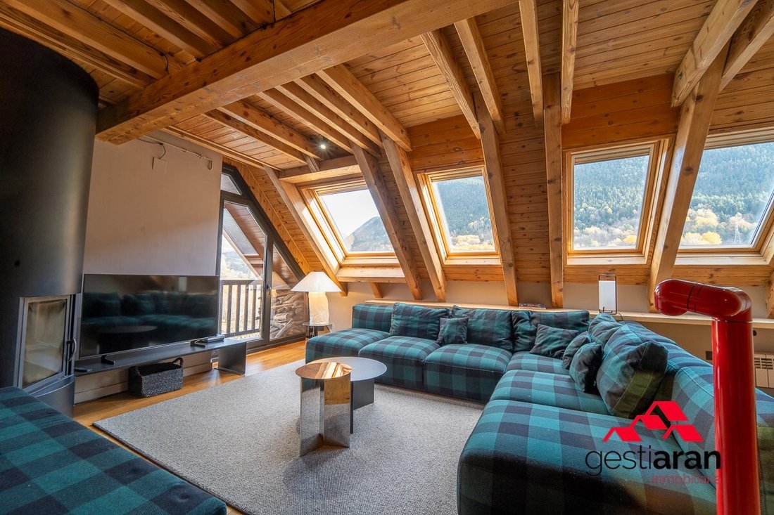 Apartment in Naut Aran, Catalonia, Spain 2 - 19148679