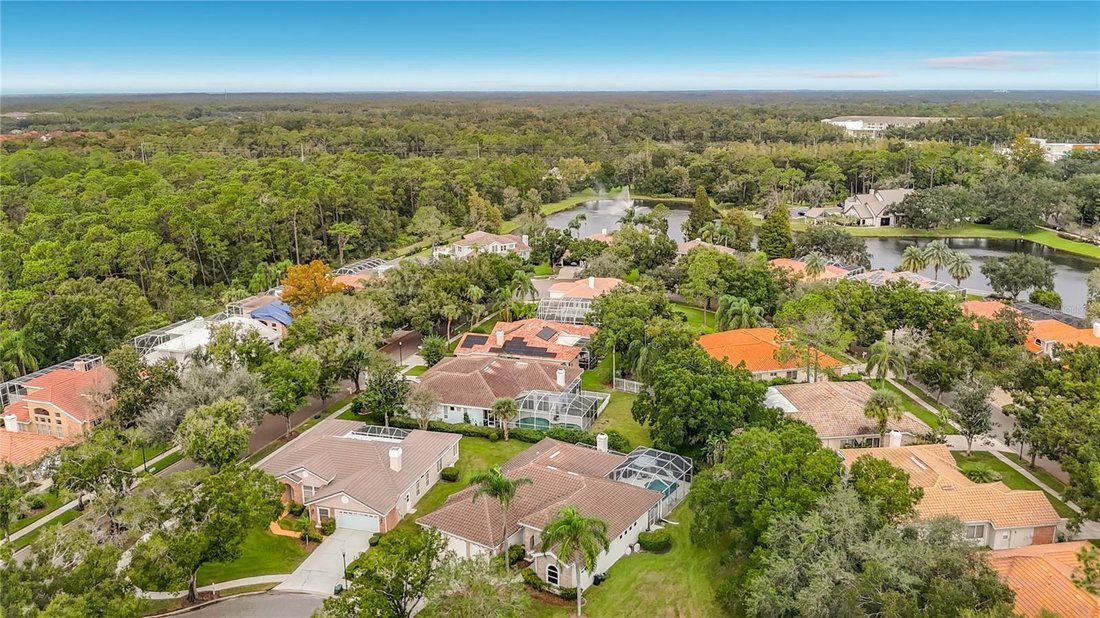 Casa en Tampa, Florida, Estados Unidos 4 - 19148765