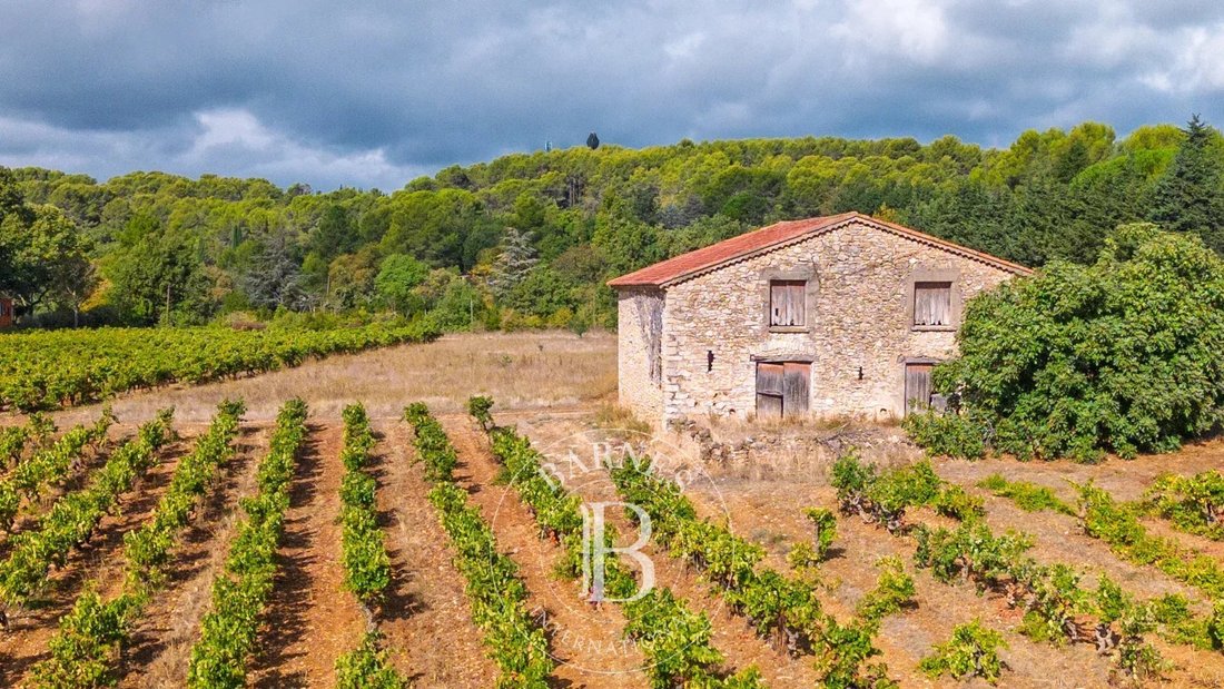Farm Ranch in Flayosc, Provence-Alpes-Côte d'Azur, France 3 - 19148527