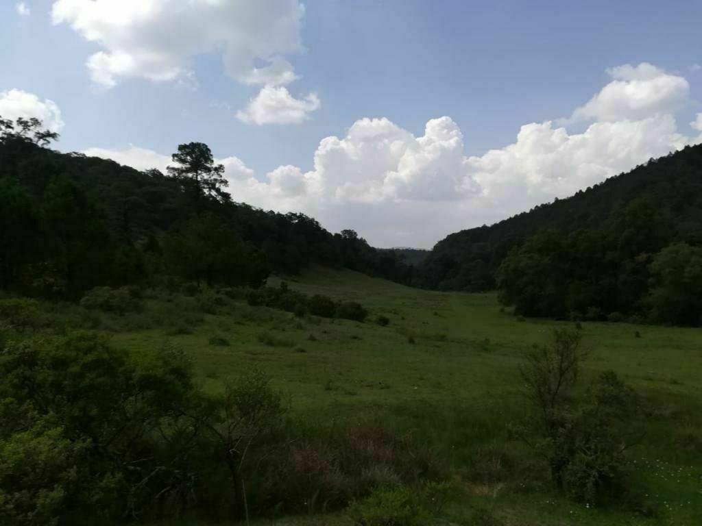 Terrain à Chapa de Mota, État de Mexico, Mexique 3 - 19145837