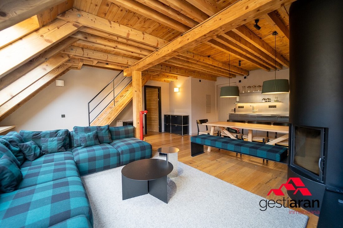 Apartment in Naut Aran, Catalonia, Spain 1 - 19148679