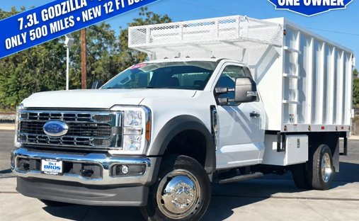 2025 Ford F550 Super Duty Regular Cab &amp; Chassis XL w/169 WB Cab &amp; Chassis 2D in Pacoima, CA, United States 1