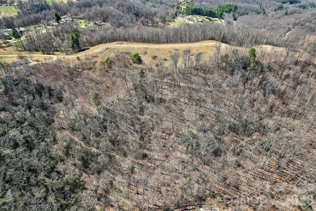 Terreno a Hendersonville, Carolina del Nord, Stati Uniti 3 - 19145905