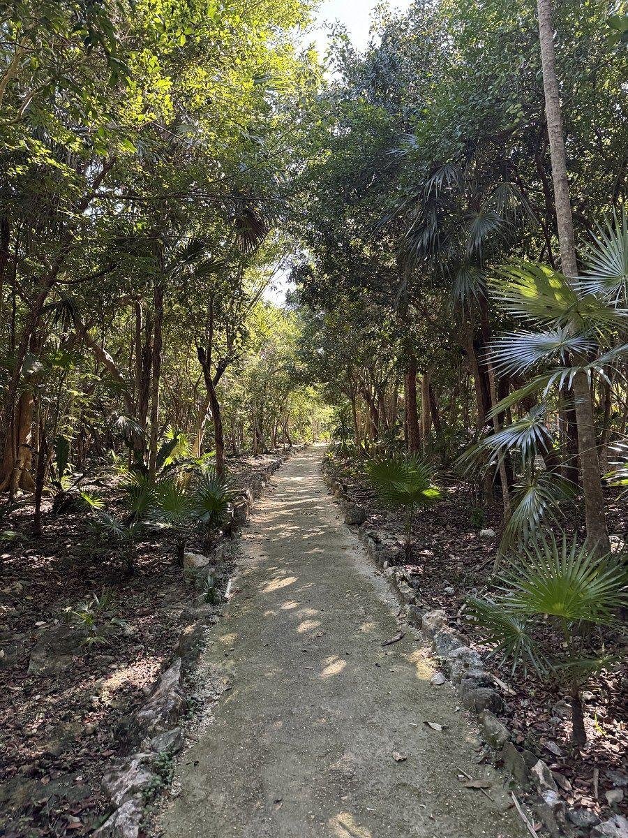 Villa in Akumal, Quintana Roo, Mexico 3 - 19146447