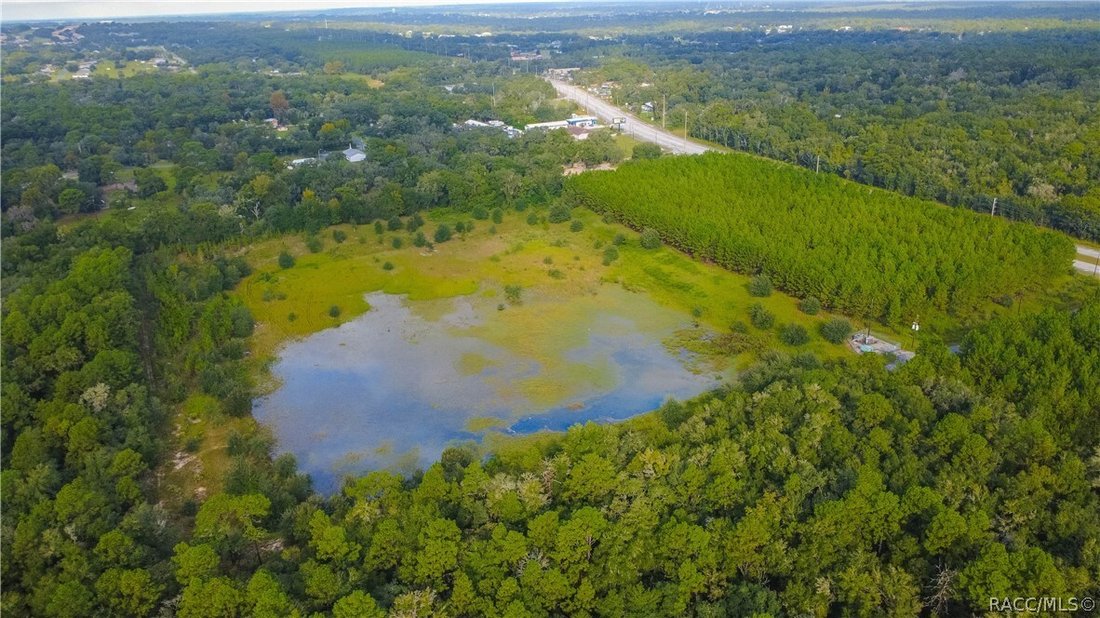 Land in Hernando, Florida, Vereinigte Staaten 4 - 19148860