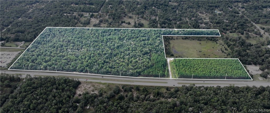 Land in Hernando, Florida, Vereinigte Staaten 1 - 19148860