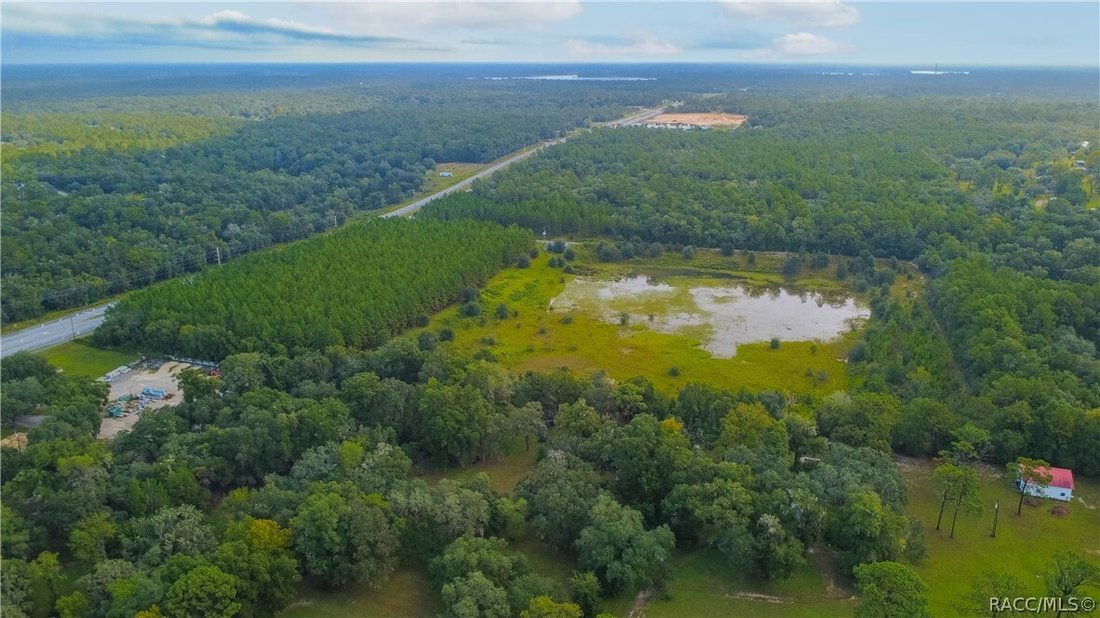 Land in Hernando, Florida, Vereinigte Staaten 3 - 19148860