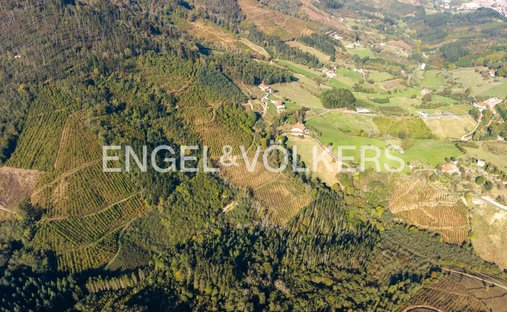 Terreno a Azpeitia, Paesi Baschi, Spagna 1