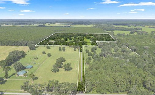 Haus in Morriston, Florida, Vereinigte Staaten 1