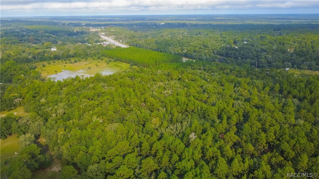 Land in Hernando, Florida, Vereinigte Staaten 5 - 19148860