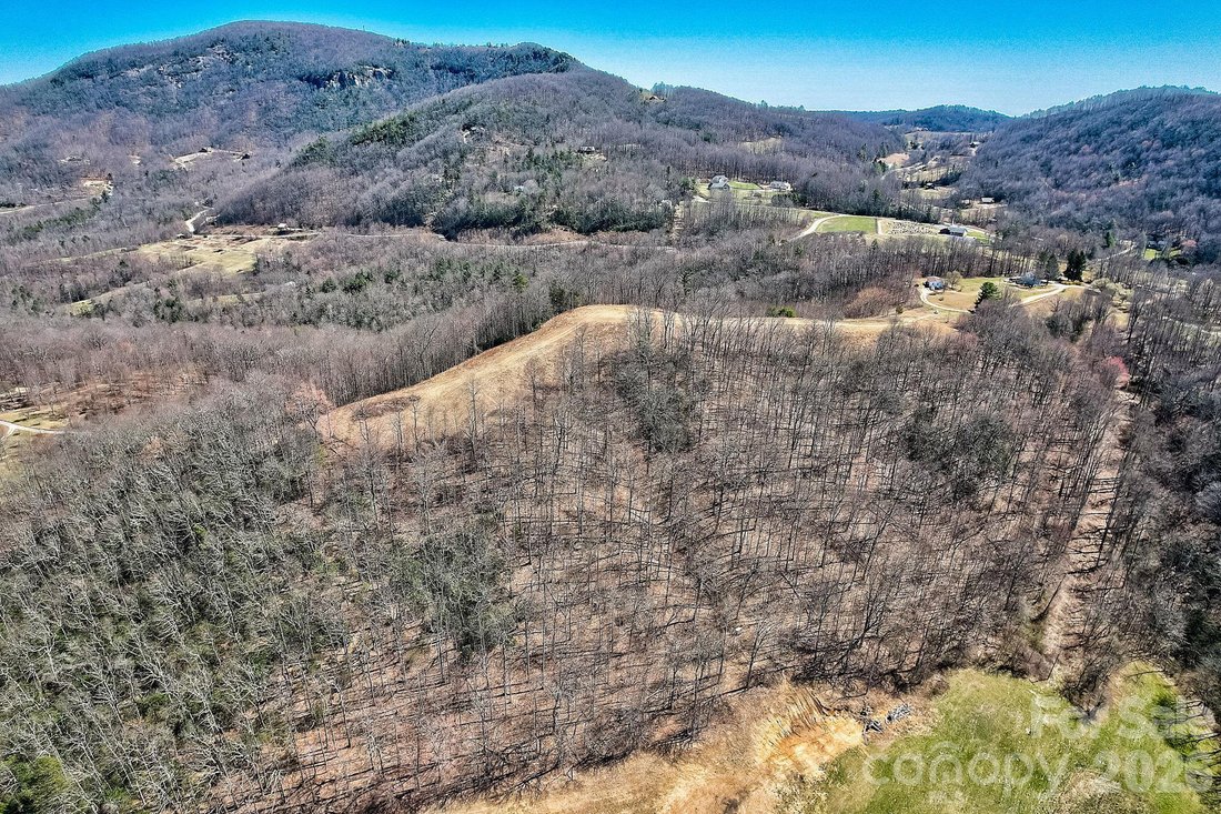 Terreno a Hendersonville, Carolina del Nord, Stati Uniti 4 - 19145905