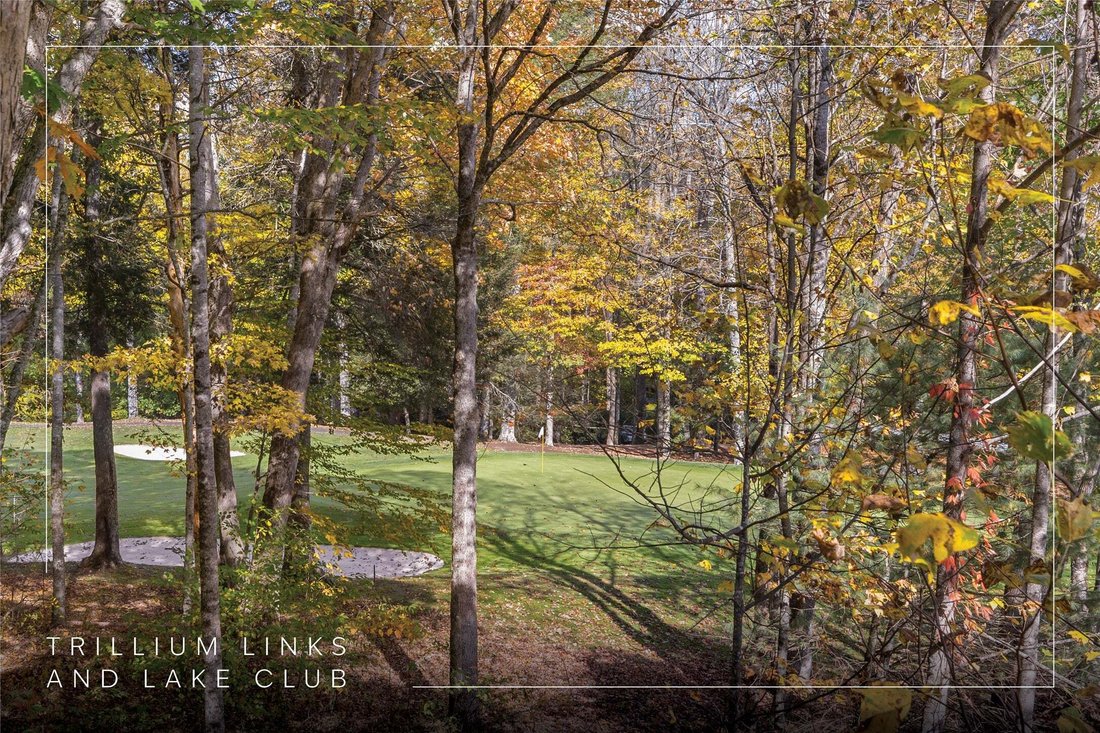House in Cullowhee, North Carolina, United States 5 - 19146817