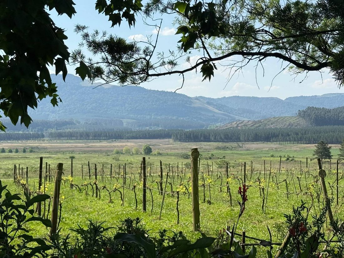 Farm Ranch in Howick, KwaZulu-Natal, Südafrika 3 - 19146017