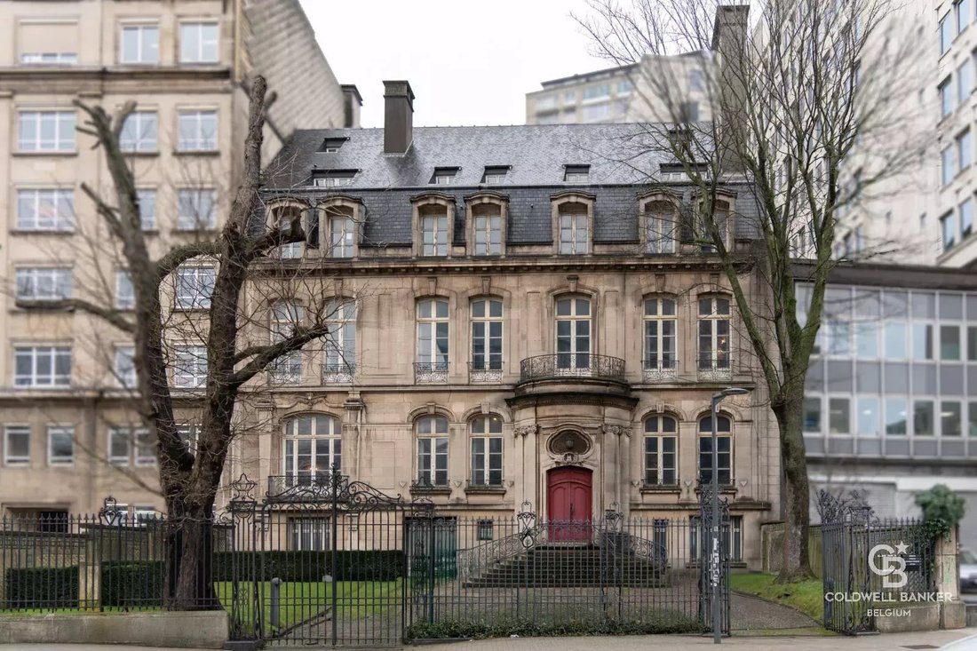 Bruxelles, Brussels, Belgium 1 - 19148107