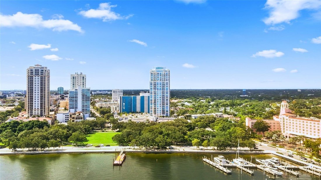 Condo in St. Petersburg, Florida, United States 3 - 19147761